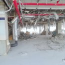 피앤케이 이미지