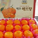 연희 농장 이미지