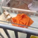 사랑해줄개 애견샵 이미지