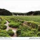 하늘풍차 이미지