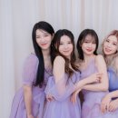 승민애견 이미지