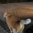 거양길-2 이미지