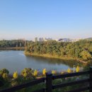 풍암한방병원 이미지