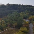 광교에듀공인중개사사무소 이미지