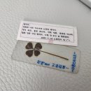 펠레리꼬