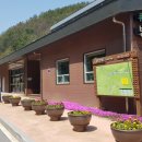 향로산자연휴양림 네이버블로그