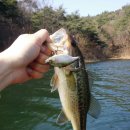 고남저수지 이미지