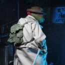 라파엘1 이미지