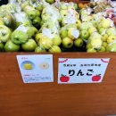 enjoyアオモリ7 이미지