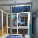 아이리니B펜션 이미지