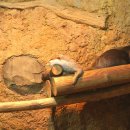 초양도주차장 이미지