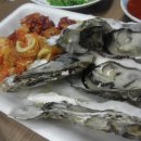 회와 멍게 친구들 이미지