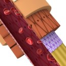 하나로한의원 이미지