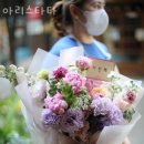 아리스타타 이미지