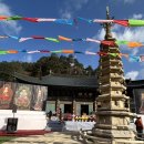 천년숲서로(서) | 천년의 숲길이 있는 오대산 월정사 (불광사 순례법회)