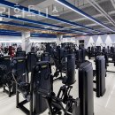 휘슬러휘트니스 이미지