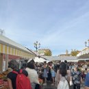 니코이즈 이미지