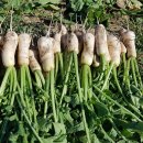 오만농장 이미지