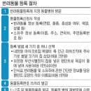 PET사랑 이미지