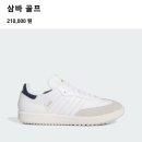 나이키골프세정