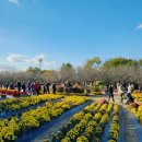 수도권매립지관리공사 - 7832 | 수도권매립지관리공사