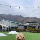 몽실이네 이미지