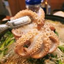 송산봄약국 | [화성 새솔동 횟집 추천] 쭈꾸미 샤브샤브가 맛있는 장막옆회포차 재방문 후기
