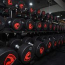 바닐라짐 이미지