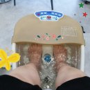 로틸리아 이미지