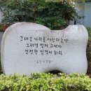 하모니카교실 | 대구경북흥사단 2024년 송년 월례회 참석 후기