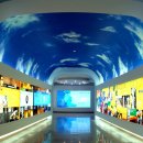 건강과 성 박물관 이미지