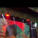 주니삼촌 공룡애니멀쇼 시즌2 이미지