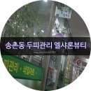 엘샤론염색