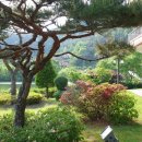 서성리 입구 Daum카페