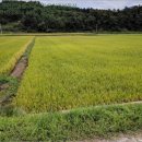 웅양면 오산경로당 이미지