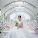 인별그램 릴스 촬영기법 | 홀 dvd 지조비주얼 계약후기 [짝꿍코드 공유/6천원 페이백] 27개 비교, 색감 피부톤 보정에 릴스 제공까지!