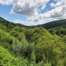 자작나무숲펜션 이미지