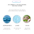 소노지아