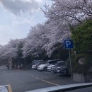 그린꽃상사