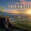 7월 30일 (목) 그루터기에서 나는 싹 이미지