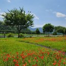 삼문동둔치주차장 이미지