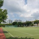 서북구청 축구장 네이버블로그