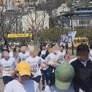 315 봄 이미지