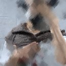 신대세탁소 | 숨도 대신 쉬어 줬으면