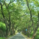 닥터영의원 이미지