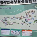 매화 2 | 아이랑 대구 근교 칠곡 송정자연휴양림 물놀이장 개장 매화2호 숙박 후기
