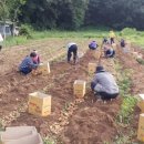 조승희 농장 이미지