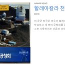 [ 하와이 현지뉴스 :: "KBFD" (한인TV) ] 2024년 5월 16일까지 - 공항에 사슴 출몰 & 홈리스 12% 증가 이미지