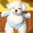 유라 당구장 이미지