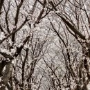 즐겨찾기 이미지